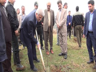 آغاز اجرای طرح نهال کاری همگانی در عرصههای منابع طبیعی مازندران آغاز اجرای طرح نهال کاری همگانی در عرصههای منابع طبیعی مازندران