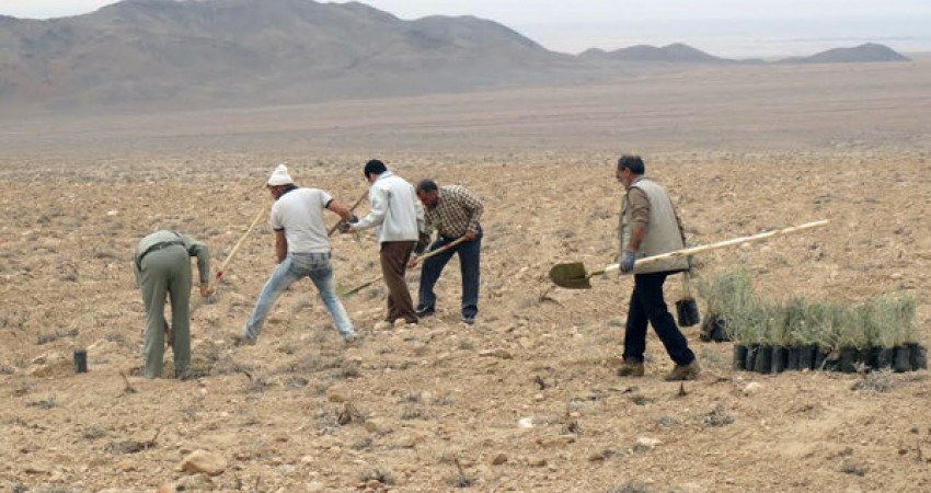 احیای بیش از ۸۲ هزار هکتار از مراتع خراسان جنوبی احیای بیش از ۸۲ هزار هکتار از مراتع خراسان جنوبی