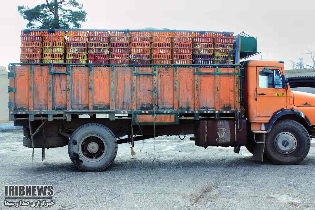 توقیف 2 هزار و ۳۰۰ قطعه مرغ غیر مجاز در سربیشه