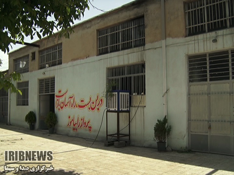 زنان شیشه ای و صدای شکستن جام زندگی زنان شیشه ای و صدای شکستن جام زندگی