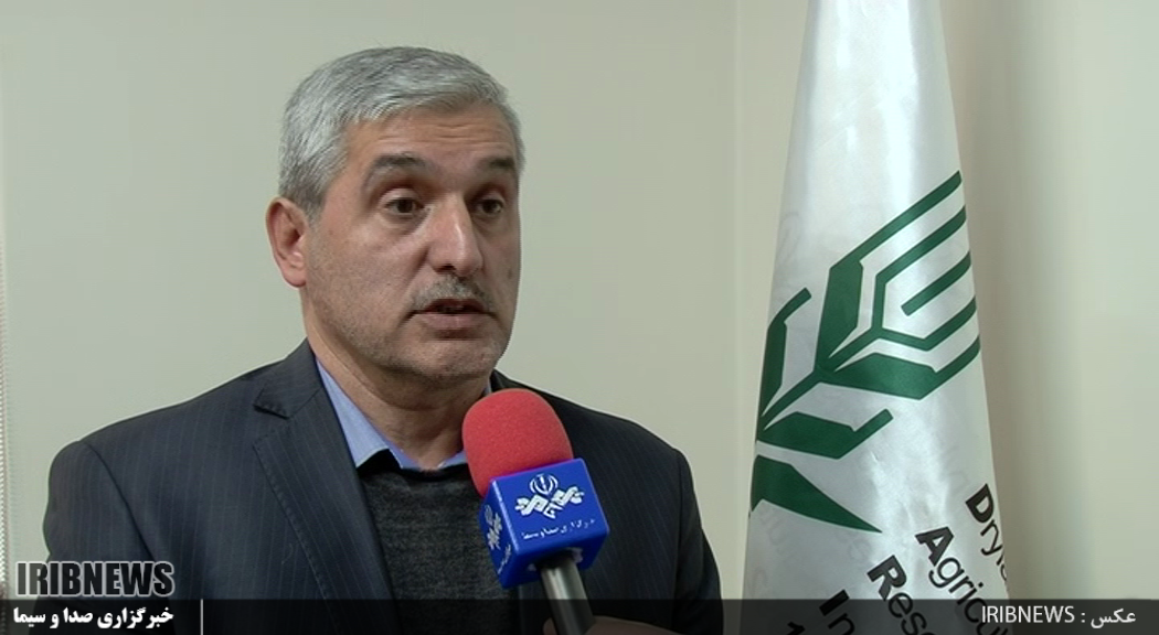 آغاز اجرای 189 طرح تحقیقاتی دیم در کشور آغاز اجرای 189 طرح تحقیقاتی دیم در کشور