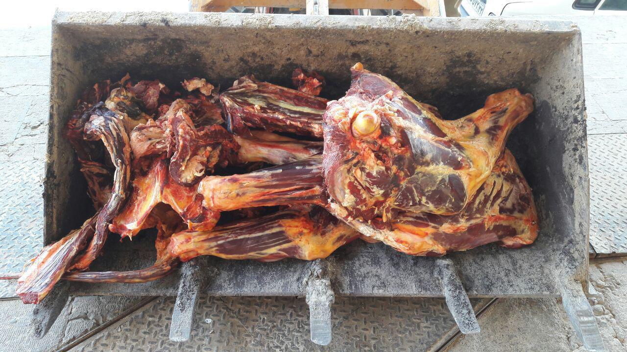 معدوم کردن ۱۱ رأس گوسفند مبتلا به بروسلوز در نهبندان معدوم کردن ۱۱ رأس گوسفند مبتلا به بروسلوز در نهبندان