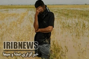 وانگهی دریا شود!!!    وانگهی دریا شود!!!