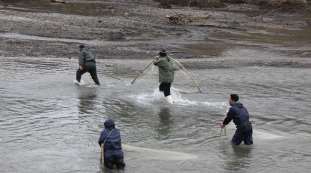 ممنوعیت صید ماهی در رودخانه های آستارا