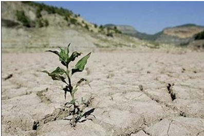 جهش تولید با آبیاری نوین(در حال تکمیل)