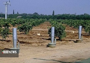 سرمای دیررس بهاره و دغدغه سرمازدگی