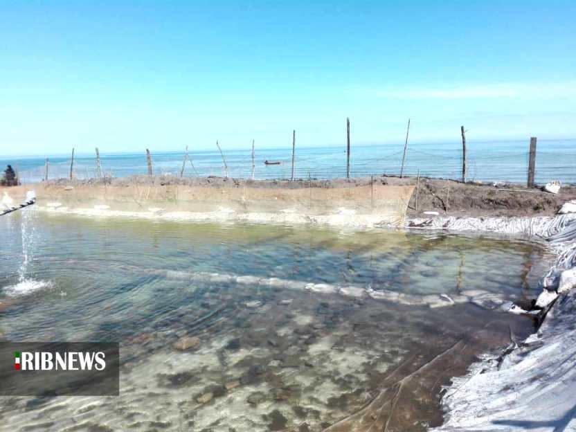 تکثیر ذخایر استخوانی خزر ؛ خارج از دریا اما طبیعی