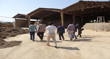 ریشه های آب و نان دار