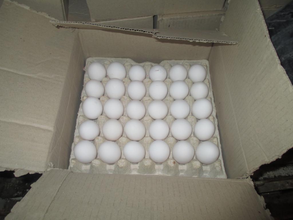 كشف بیش از 4 تن تخم مرغ غیر بهداشتی در آستارا