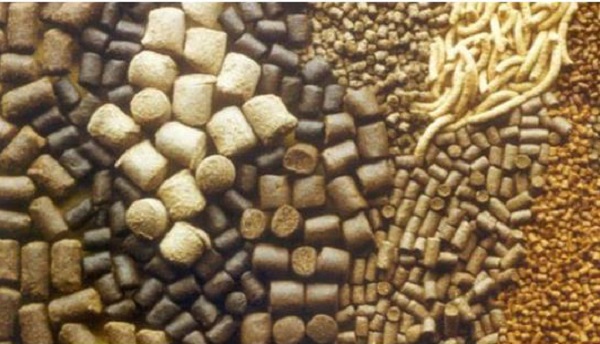 تولید ۱۸۰ هزار تن خوراک دام و طیور در سوادکوهشمالی