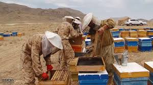 عایق بندی کندوها و تامین خوراک زمستانه زنبورها