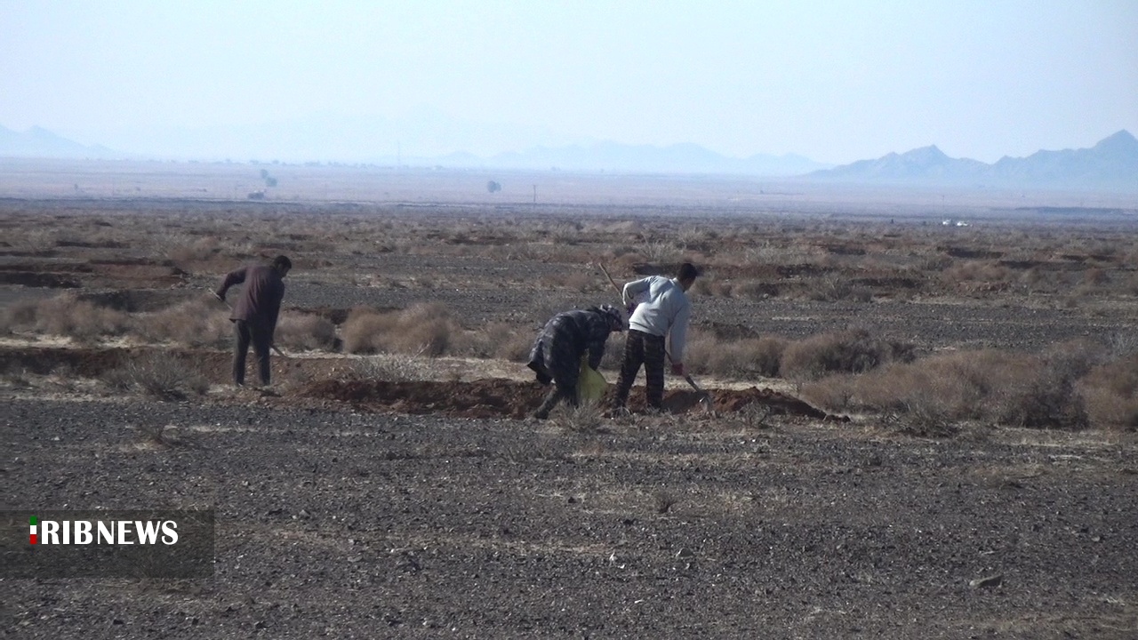 آغاز طرح‌های بیابان زدایی و احیاء مراتع در فردوس