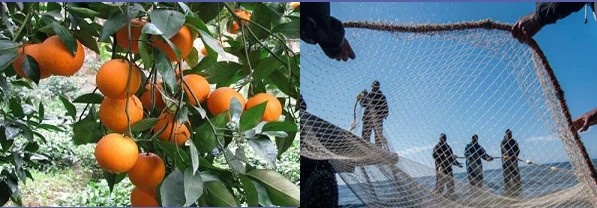 آسمان باب میل صیادان و باغداران مازندران