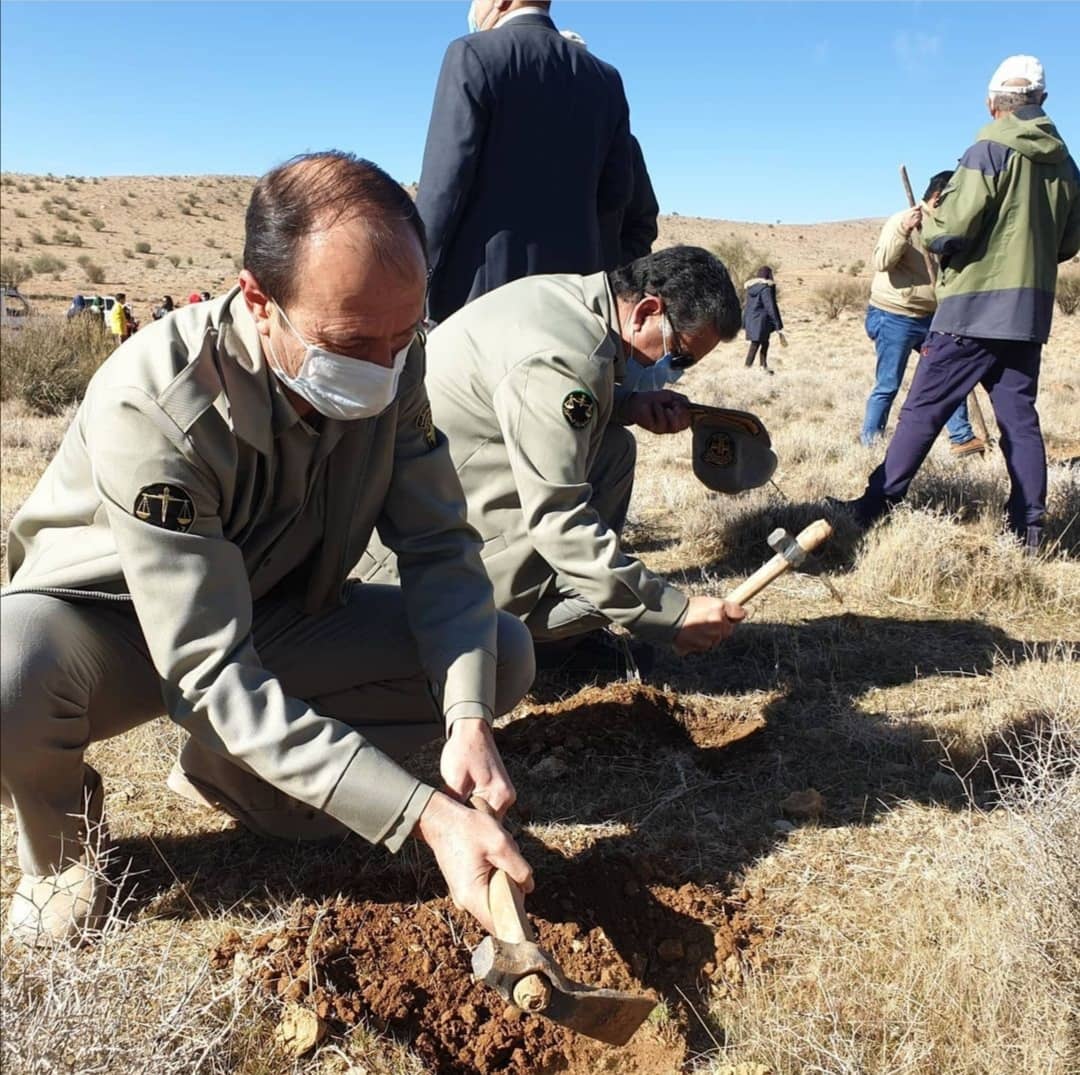 اجرای طرح جنگلانه در بیضا اجرای طرح جنگلانه در بیضا