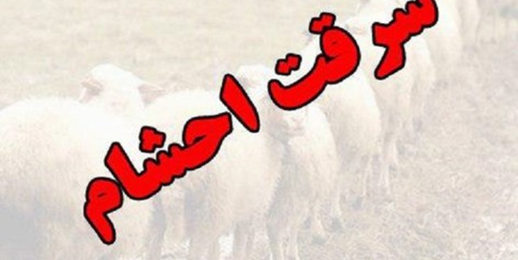 دستگیری سارق احشام برق در گلوگاه
