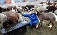 اقتصاد در هفته ای که گذشت
