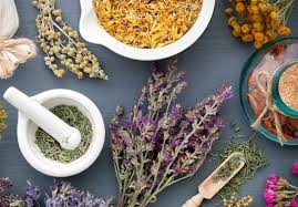 کمیته علمی طب سنتی کووید 19 در دانشکده طب ایرانی و مکمل مشهد فعال شد