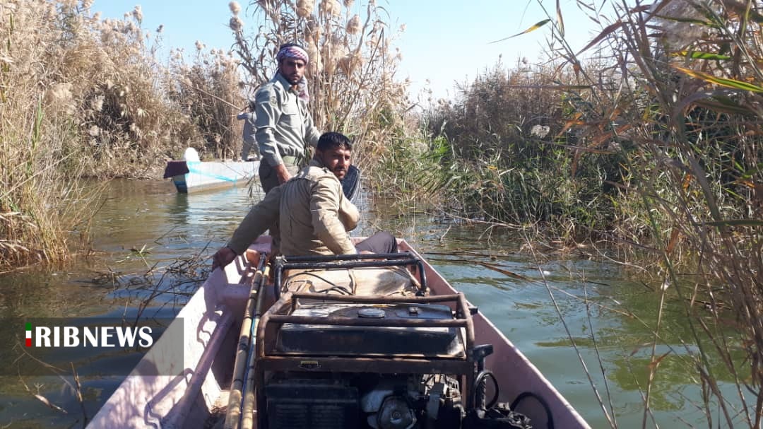 کشف مخفیگاه صیادان غیر مجاز در تالاب هورالعظیم کشف مخفیگاه صیادان غیر مجاز در تالاب هورالعظیم