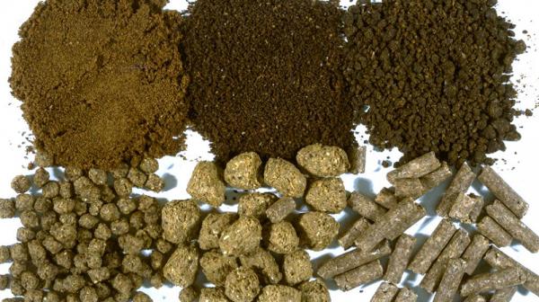 آخورهای خالی