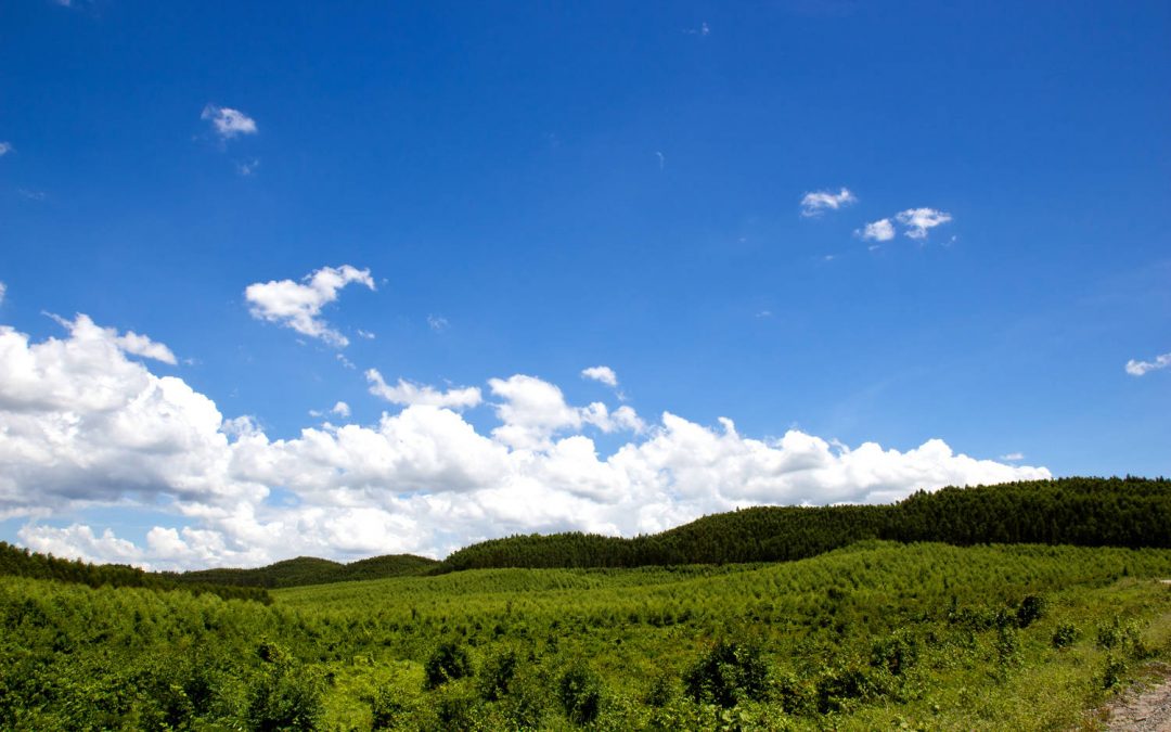 فقط ۳۸ روز هوای پاک، سهم مشهدیها از ابتدای امسال تاکنون فقط ۳۸ روز هوای پاک، سهم مشهدیها از ابتدای امسال تاکنون