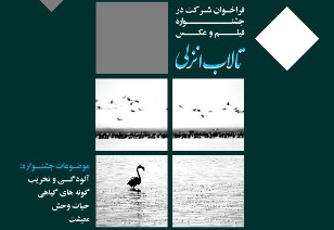 فراخوان جشنواره فیلم و عکس تالاب انزلی فراخوان جشنواره فیلم و عکس تالاب انزلی