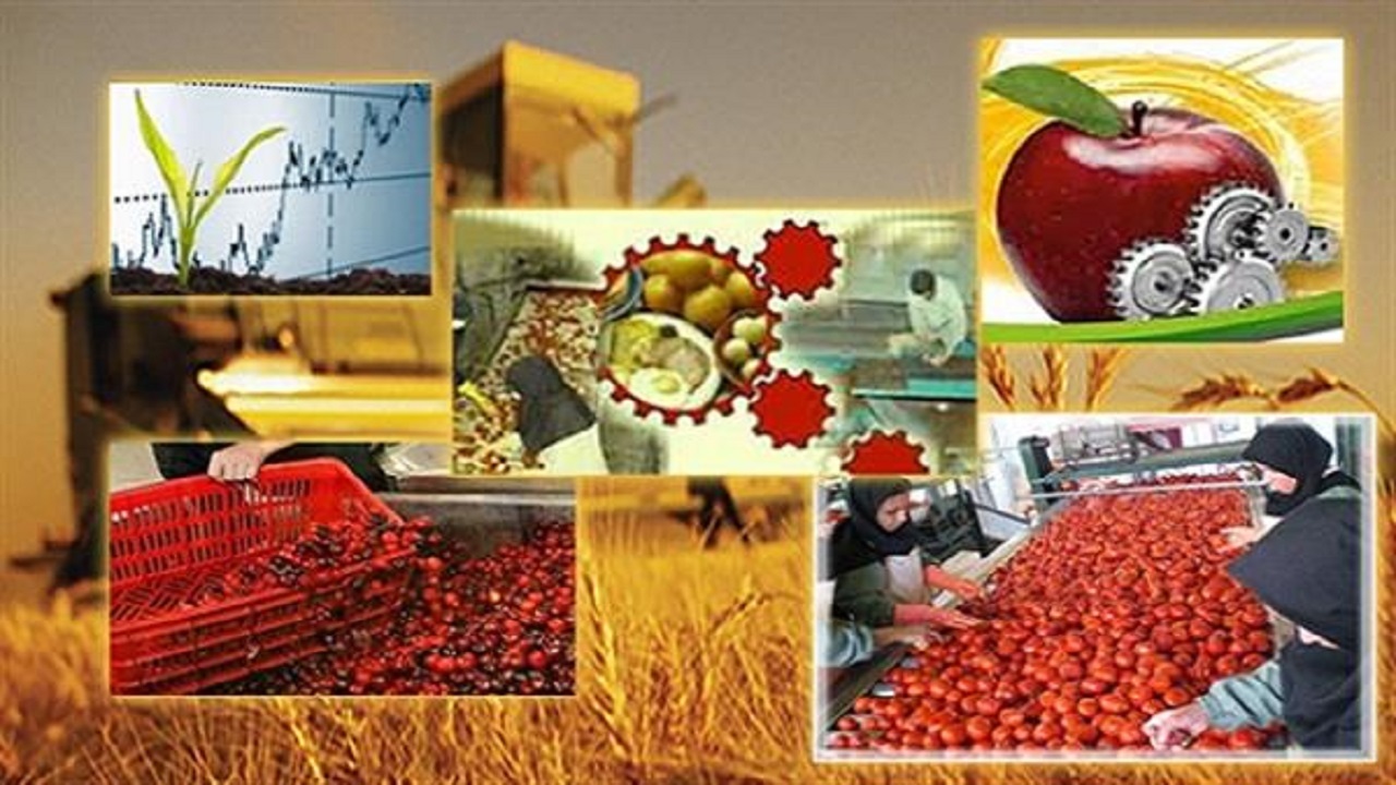 جذب ۷۷ درصدی تسهیلات اشتغال پایدار در چهارمحال و بختیاری جذب ۷۷ درصدی تسهیلات اشتغال پایدار در چهارمحال و بختیاری