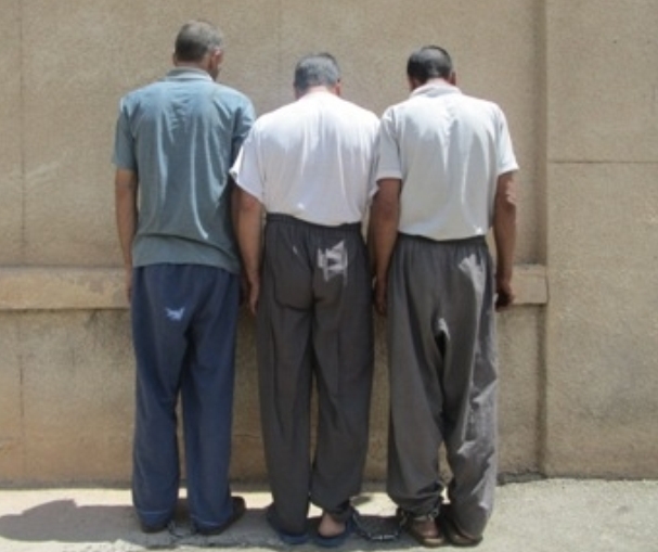 در پی وقوع چند فقره سرقت قطعات خودرو و اماکن خصوصی در لارستان