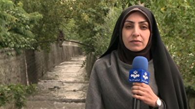 من مانده ام تنها...