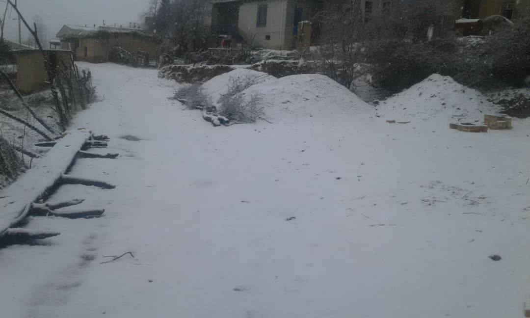 وزش شدید باد و کاهش محسوس دما در بیشتر مناطق