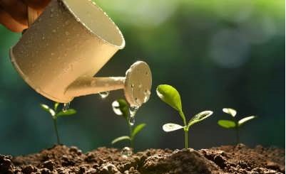 خواص درمانی خارشتر خواص درمانی خارشتر