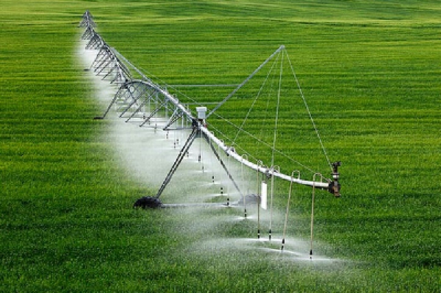 اختصاص ۹۰ میلیارد ریال برای اجرای طرحهای نوین آبیاری تایباد اختصاص ۹۰ میلیارد ریال برای اجرای طرحهای نوین آبیاری تایباد