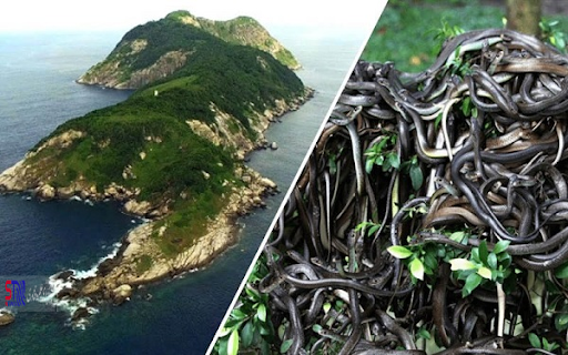 مکان‌های ترسناک و عجیب دنیا کدامند؟