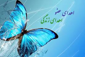 اهدای اعضای بانوی مرگ مغزی به 3 بیمار