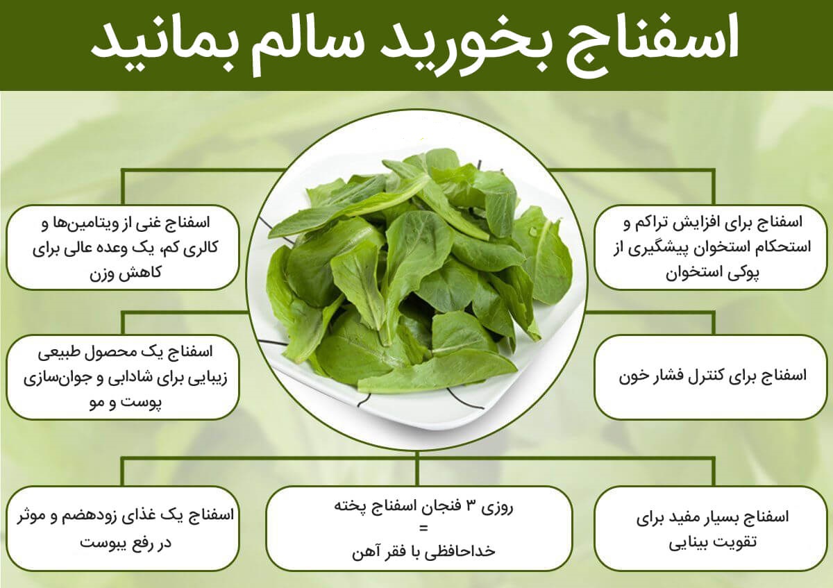 اسفناج، دنیایی از خواص و فواید بی نظیر اسفناج، دنیایی از خواص و فواید بی نظیر