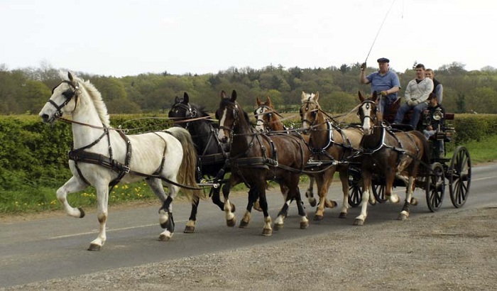 دانستنی‌های جالب خودرو
