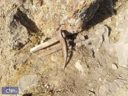 دستگیری ۴ حفار غیرمجاز در قوچان دستگیری ۴ حفار غیرمجاز در قوچان