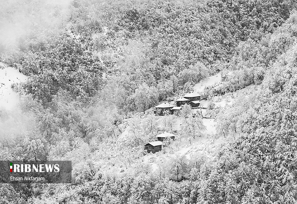 https://www.iribnews.ir/files/fa/news/1399/11/11/5964413_572.jpg