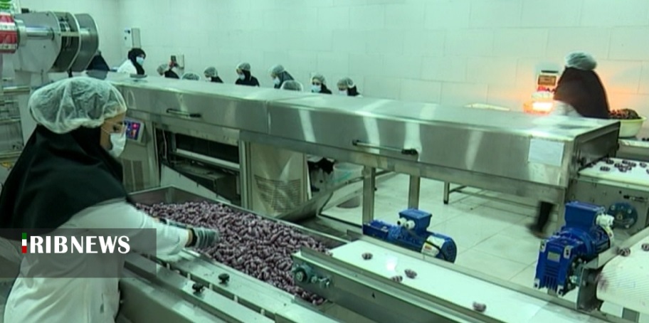 خرمای فرآوری شده استان بوشهر در بازار جهانی