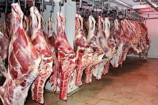 فرش قرمزِ اعراب برای گوسفندهای ایرانی فرش قرمزِ اعراب برای گوسفندهای ایرانی