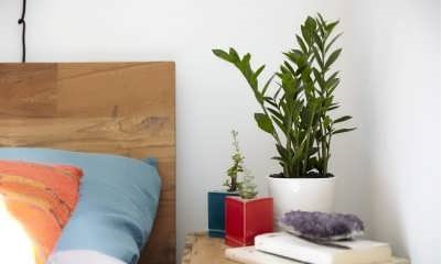 گیاهان مناسب برای اتاق خواب