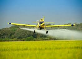 تامین ۳۰ تن سم برای مبارزه با ملخ صحرایی در استان بوشهر