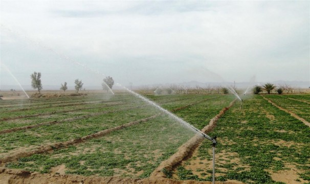 تجهیز ۲۱ درصد اراضی کشاورزی به سیستمهای نوین تجهیز ۲۱ درصد اراضی کشاورزی به سیستمهای نوین