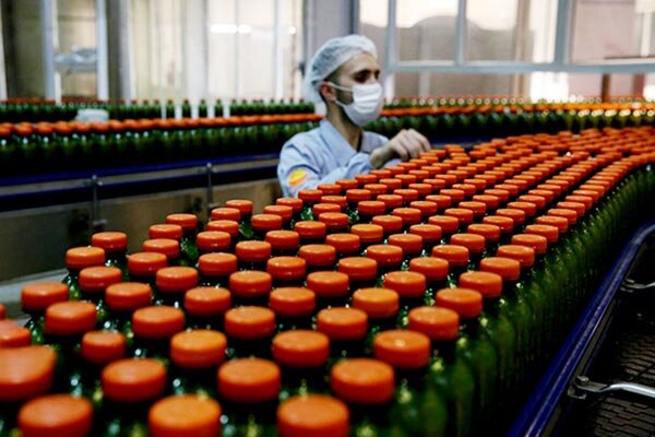 بهره برداری از ۵ طرح صنایع تبدیلی و تکمیلی کشاورزی در استان بوشهر