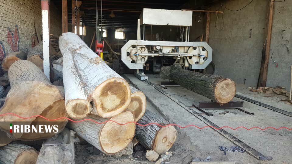 زراعت چوب ، طرحی نیمه تمام