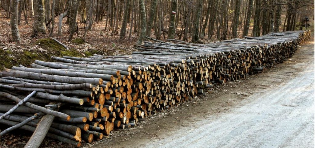 زراعت چوب ، طرحی نیمه تمام