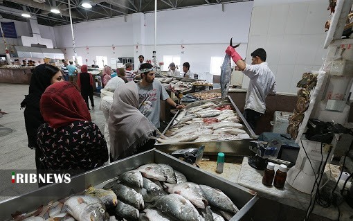 قفسی برای رهایی از فقر