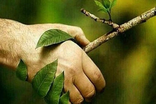 خودنمایی دانشگاه آزاد اصفهان در بین سبزترین دانشگاههای کشور خودنمایی دانشگاه آزاد اصفهان در بین سبزترین دانشگاههای کشور