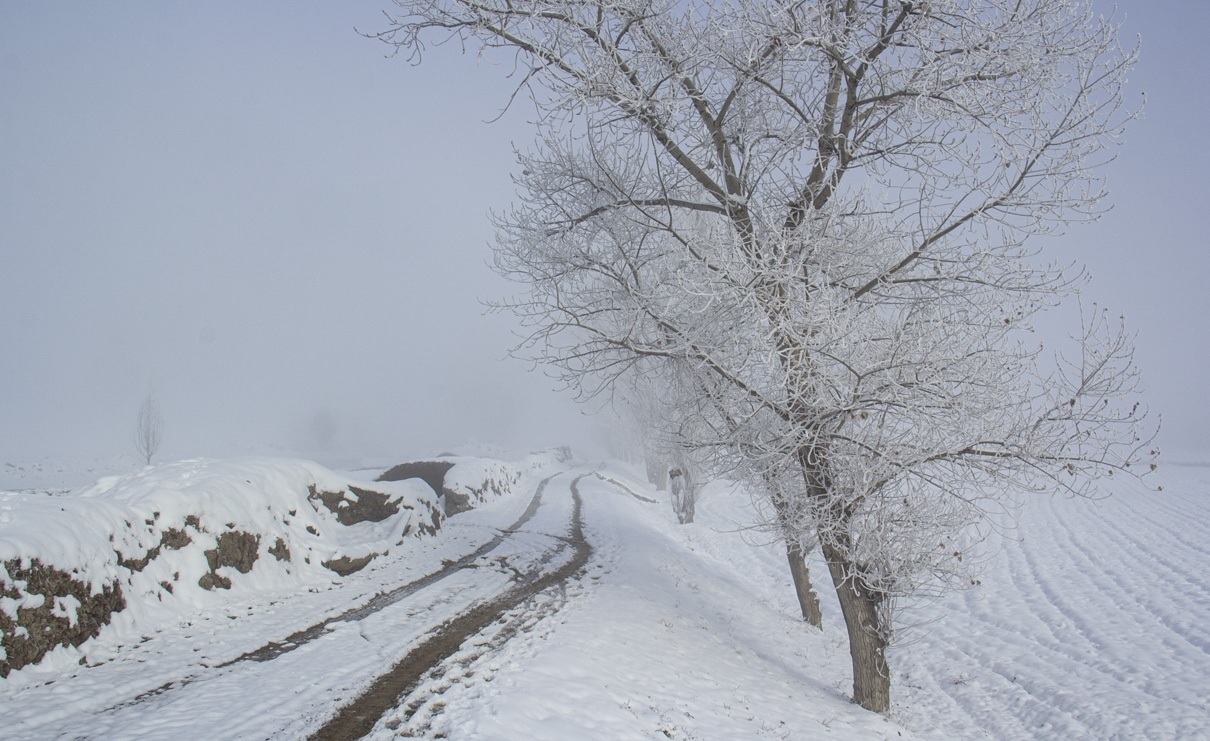 سرما و یخبندان در استان اردبیل