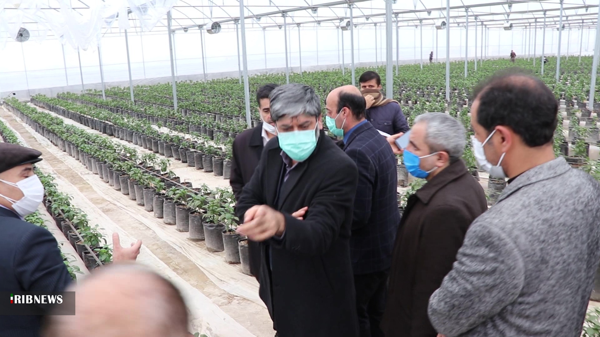حمایت دستگاه قضا از سرمایه‌گذاران بخش کشاورزی اردبیل