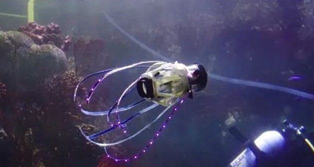 ماهی مرکب الهام&zwnj;بخش ساخت ربات زیرآبی